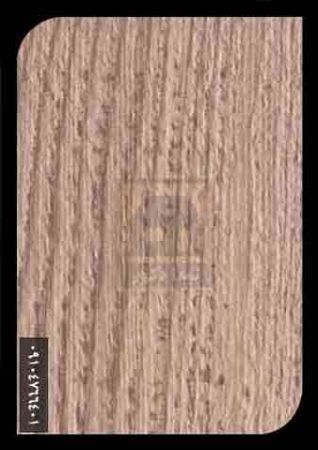 ام دی اف آریا ام دی اف آریا